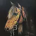 Jolanta Oczko - A Beautiful Horse Piękny koń