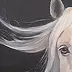 Jolanta Oczko - White horse