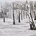 Ryszard Niedźwiedzki - A birch clearing