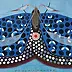 federico cortese - Farfalla cromatica - blu