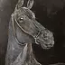 Maria Rutkowska - cheval noir
