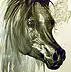 Jolanta Kalopsidiotis - Black stallion