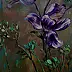 Justyna Szałamacha - "Two great purple tulips"