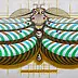 federico cortese - Fibonacci moth