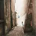 Alina Sibera -  Magic alley