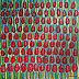 Edward Dwurnik - PEINTURE A L'HUILE Tulipes rouges - 100x100 cm