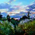 Barbara Gulbinowicz - Paysage avec coucher de soleil