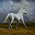 Michał Nowakowski - Portrait d'un cheval blanc