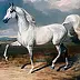 Andrzej Novak-Zemplinski - Portrait of a stallion Emanor, US National Champion
