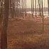 Dominik Woźniak - forêt Paysage