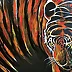 Ewa Mościszko - Tigre, tigre che brucia luminosa