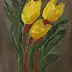Olka Cała - tulipani