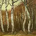 Jerzy Duda Gracz - untitled - (birch forest - autumn)