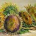 Jadwiga Marcinek - sunflowers