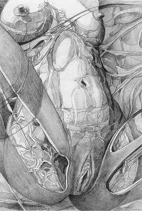 Aleksander Rymarowicz - 041