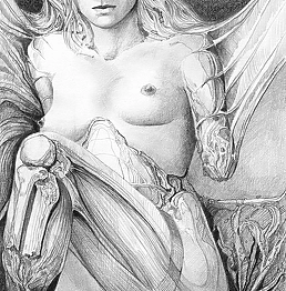 Aleksander Rymarowicz - 042