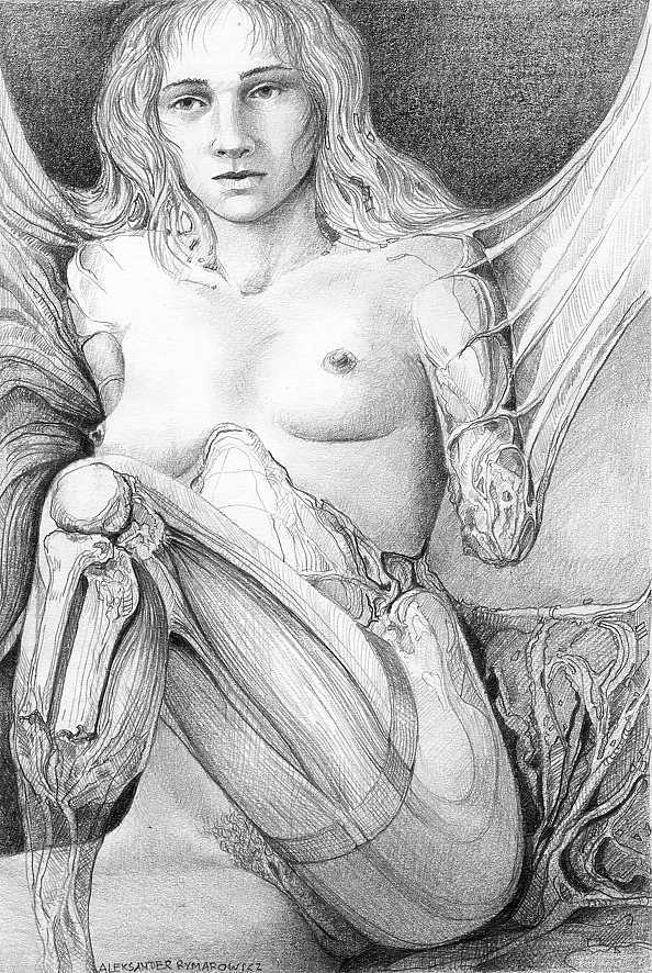 Aleksander Rymarowicz - 042