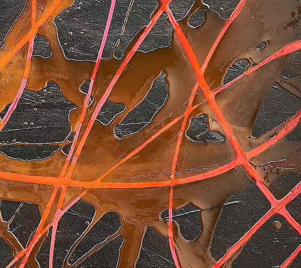 Bea Guillemot - 18-EP1 Epoxy on canvas 120x100 