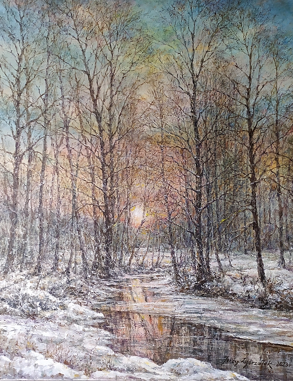Jerzy Zgorzałek - 1/2023 Charming winter aura of the stream