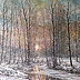 Jerzy Zgorzałek - 1/2023 Charming winter aura of the stream