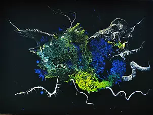 Wojtek Więckowski - "2.03"