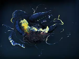 Wojtek Więckowski - "2.08"