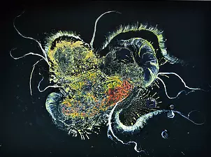 Wojtek Więckowski - "2.09"