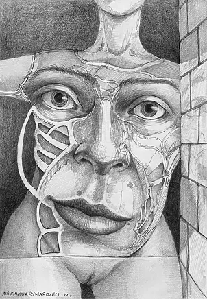 Aleksander Rymarowicz - 212