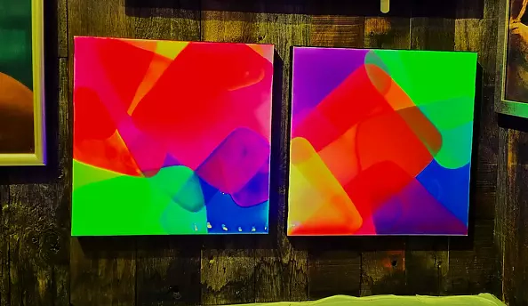 Bea Guillemot - 22-EP24