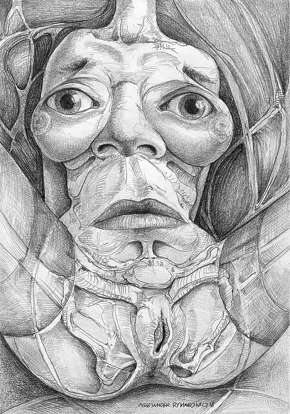 Aleksander Rymarowicz - 263