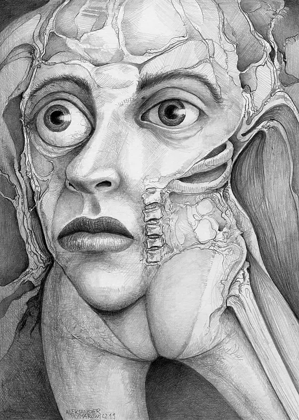 Aleksander Rymarowicz - 311