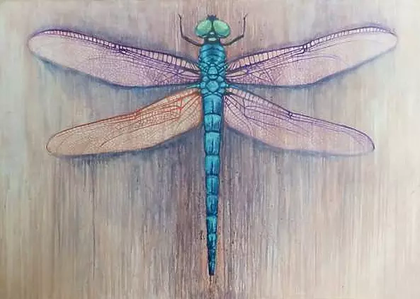 Izabela Olszyna - 325 million years of evolution