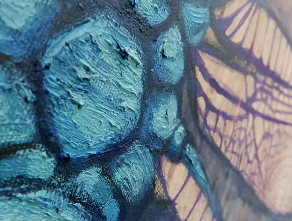 Izabela Olszyna - 325 million years of evolution