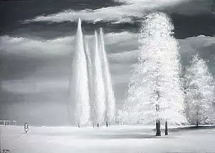 Andrzej Cybura - -36,5 