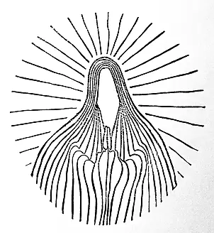 Witold Maciejewski - 3