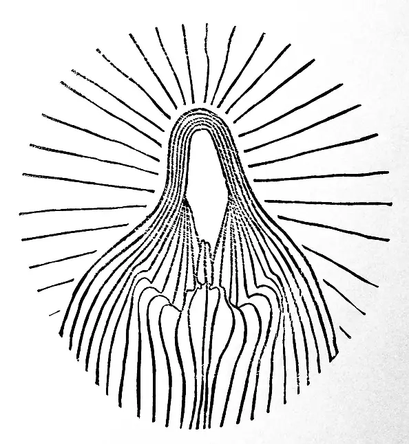 Witold Maciejewski - 3