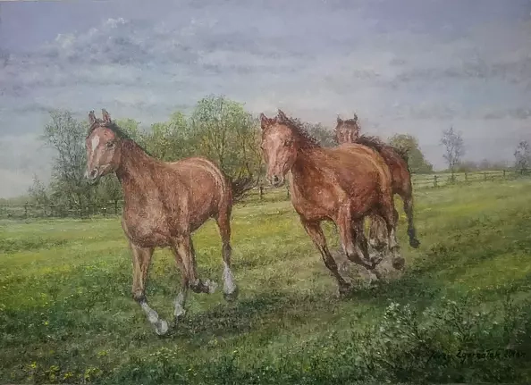 Jerzy Zgorzałek - 46/2017 Galop po padoku