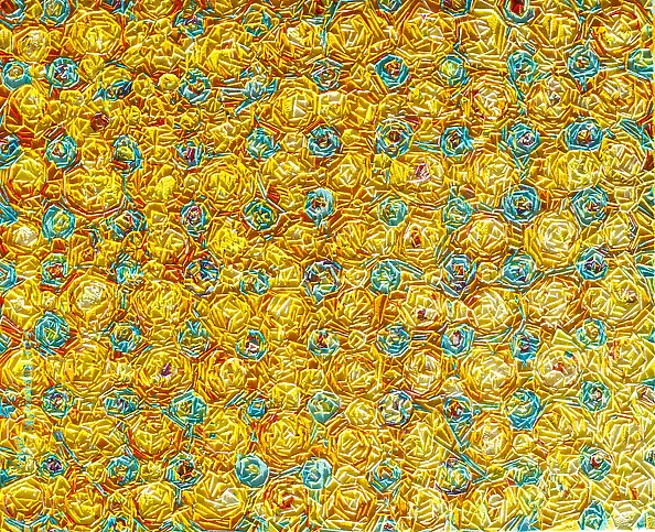 Igor Buszkowski - 49