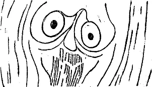 Witold Maciejewski - 4