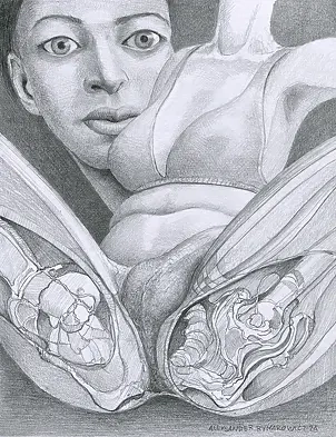 Aleksander Rymarowicz - 516