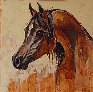 Marcin Mikołajczak - ARAB