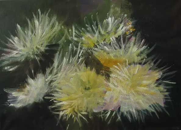 Rozalia Nowak - ASTRY