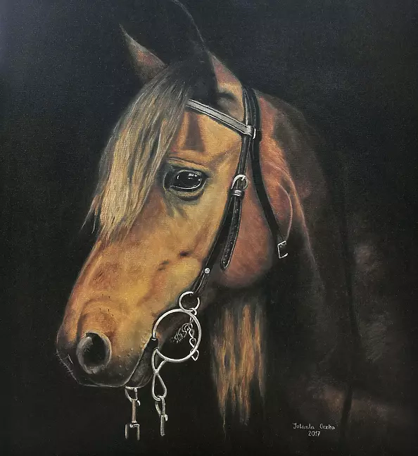 Jolanta Oczko - A Beautiful Horse
