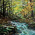 Janusz Grysiewicz - forest stream