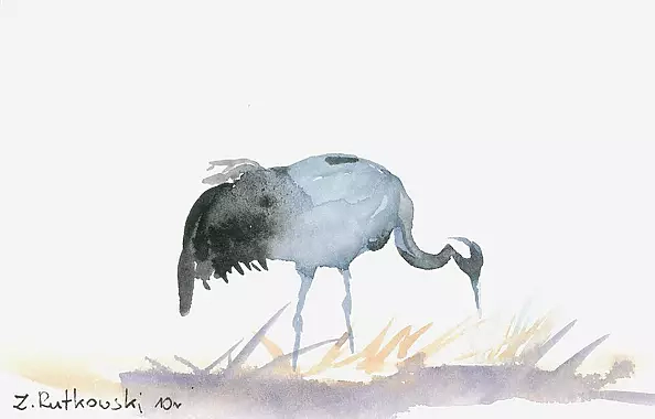 Zdzisław Rutkowski - Żuraw