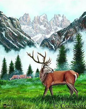 Tiziana Colleoni - deer