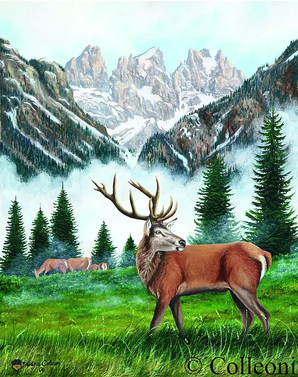 Tiziana Colleoni - deer