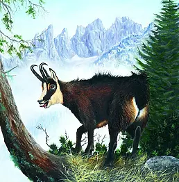 Tiziana Colleoni - Goat