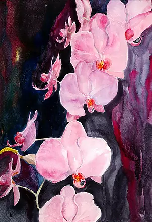 Zdzisław Rutkowski -  orchid pink