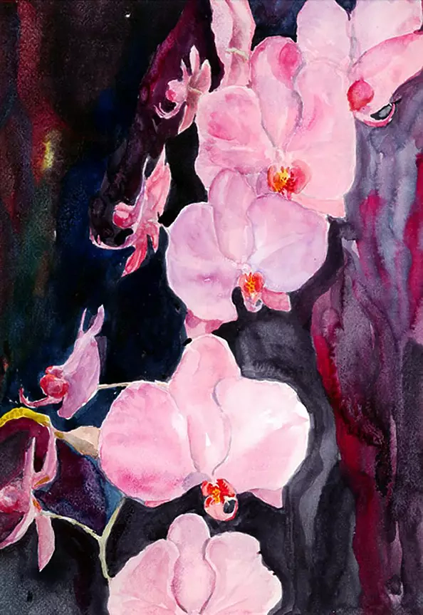 Zdzisław Rutkowski -  orchid pink